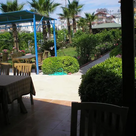 Ozgurhan 3* سيدي